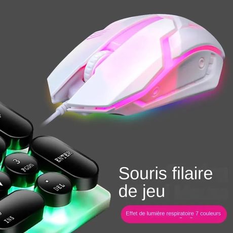 Souris Gaming filaire RGB s