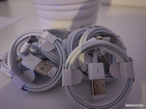 Câble de charge USB pour iPhone