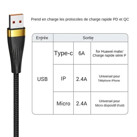 Câble de Charge 3 en 1