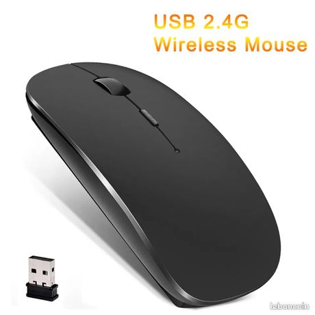 Souris design sans fil Bluetooth